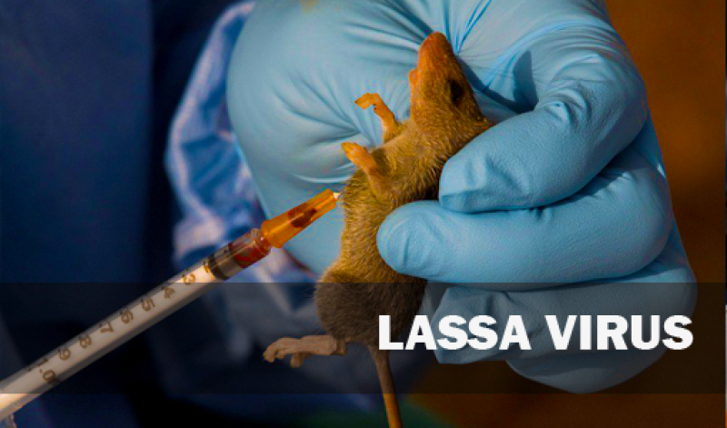 NCDC Intensifies Surveillance In response To Lassa Fever Out