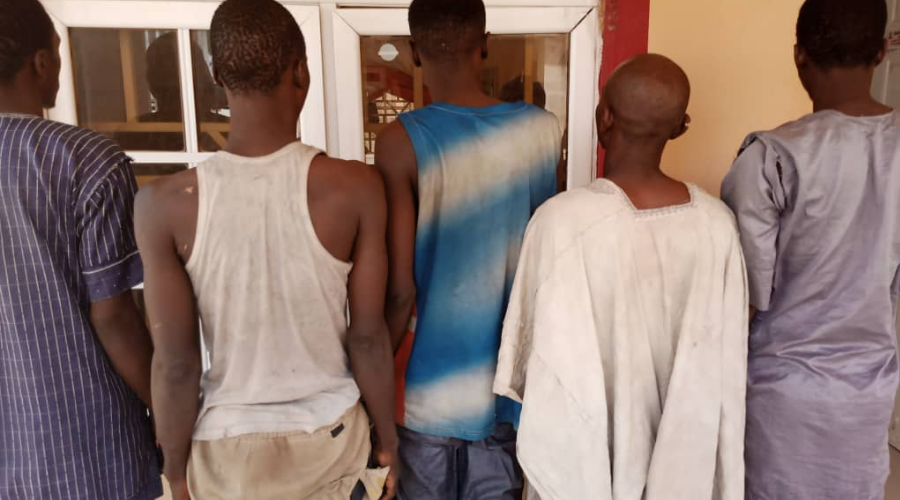 Phone Snatching: Kano NSCDC Arrests Five 