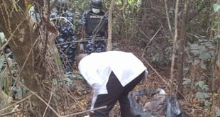 Imo: Police search forest, decomposing bodies discovered