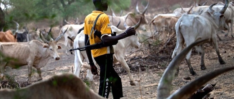 Imo Farmers Lament Destruction Of Crops By Herdsmen