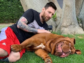 Ronaldo, Messi, Others: Top Footballers And Their Dogs