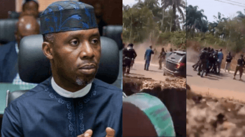 Reveal Who Ordered My Arrest — Nwosu Begs IGP