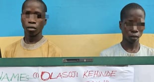 Ekiti: Police nabs teenage twins, two others for alleged  bu