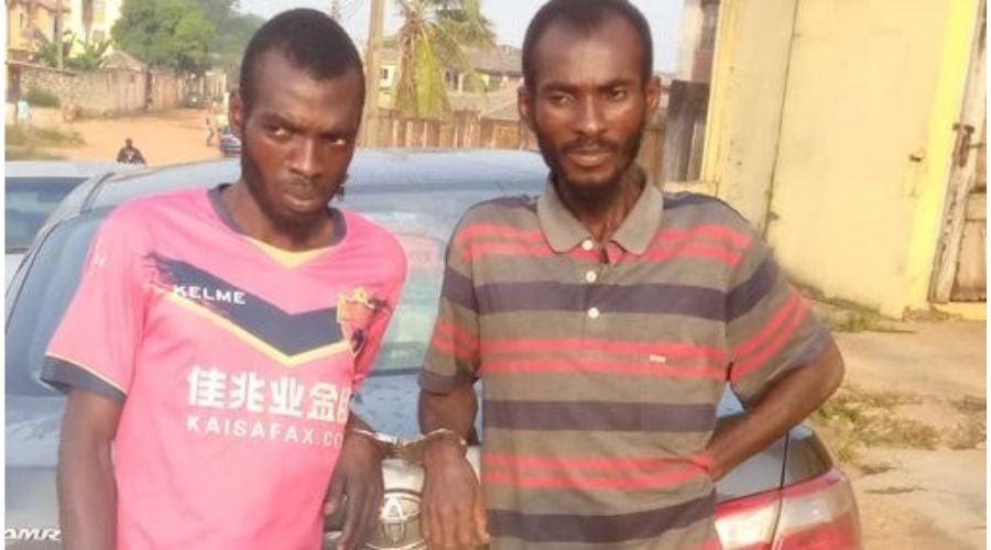 Ogun Police Arrests Brothers For Car Theft