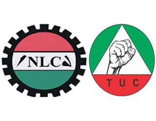 Minimum wage: Benue government tackles TUC president