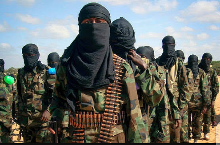 Boko Haram Seizes Shiroro, Rafi LGAs In Niger State
