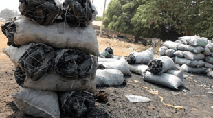 Ban on charcoal production still in place —Kwara govt