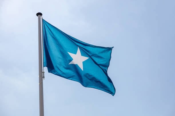 Somalian Electoral Committee Appoints New Chairman