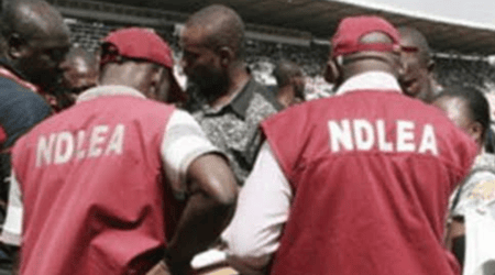 NDLEA arrests drug peddler, trafficker in Osun