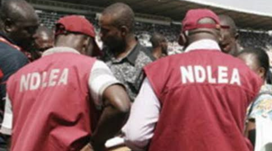 NDLEA arrests Abuja illicit drug kingpin, momoh 