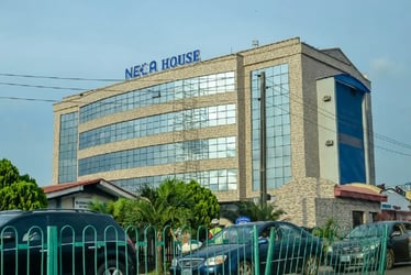 NECA hails FG for suspending levy