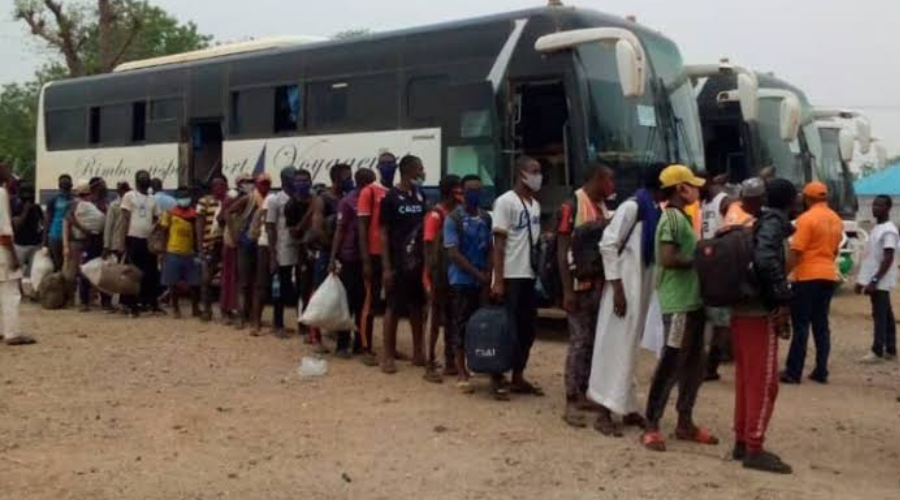 140 Nigerians Voluntarily Return From Niger Republic 