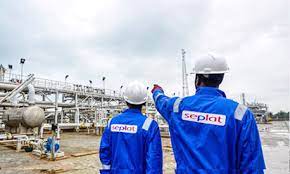 Seplat Energy Plc Set To Acquire Exxon Mobil Shallow Water B