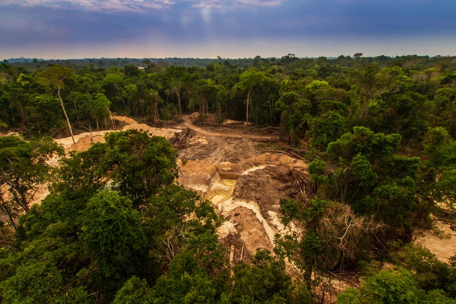 Brazil: Amazon Deforestation Drops For January