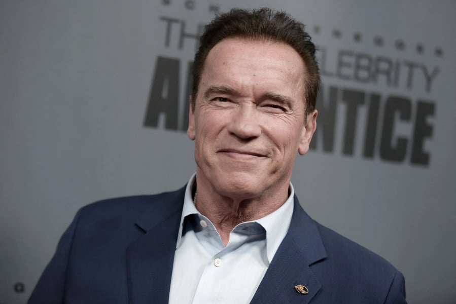 Arnold Schwarzenegger: 'Terminator' Star Survives Deadly Car