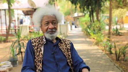 Soyinka’s residence to be converted to research centre —