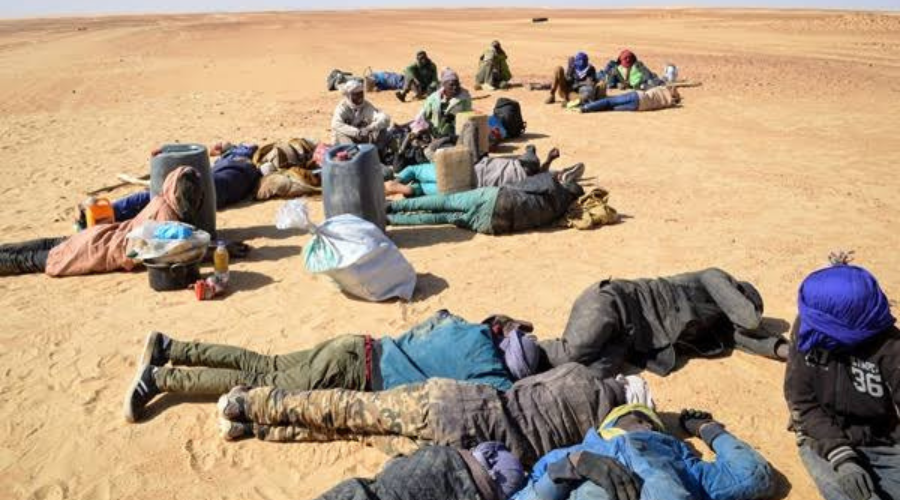 We Die From Thirst, Hunger In Desert — Libyan Immigrant