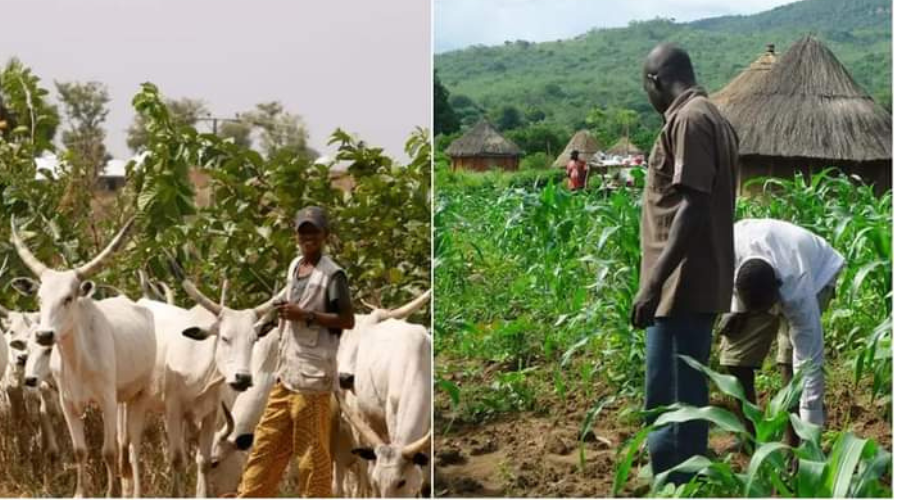Nasarawa State Launches Peace Campaign For Farmers, Herders�