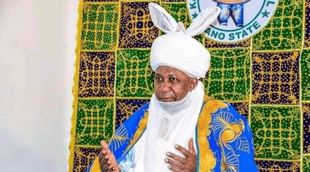 Emir Of Karaye Advocates Use Of E-Naira