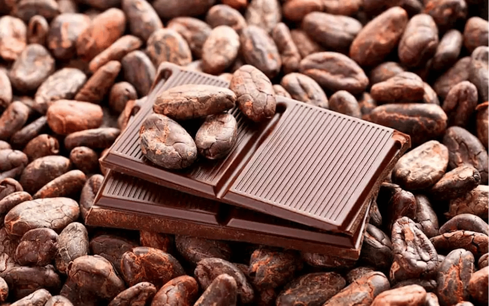 Export Of Ondo-Made Chocolates To European Markets Set To St