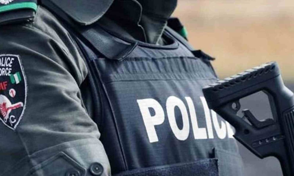 Yobe: Police Arrests Notorious Burglars