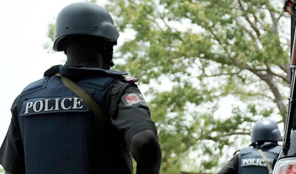 Ogun Police Nabs Two For Stealing Ram