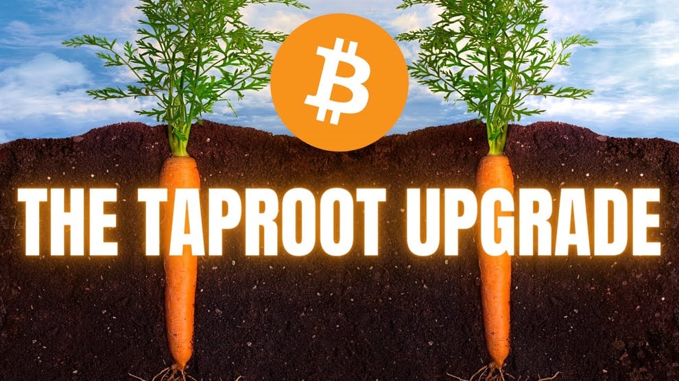Bitcoin Introduces ‘Taproot’ To Enhance Its Network Priv