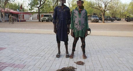 Boko Haram terrorists surrender to security agents in Borno