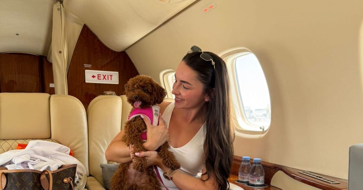A dog sitting calmly in the cabin of a private jet, next to its owner