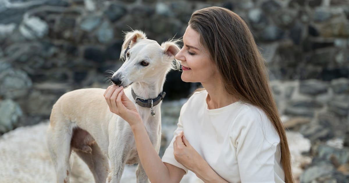 Woman nose-to-nose with her cream saluki