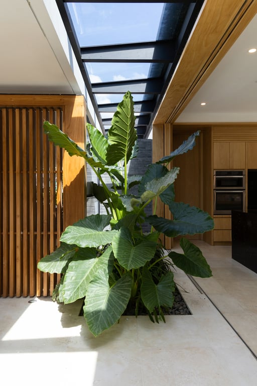 Casa Naia view from inside