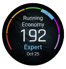 Garmin running Economy