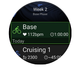 Garmin Triathlon Coach