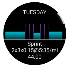 Garmin Daily suggested Workouts - Track