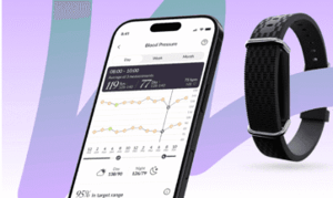 hilo band small featured