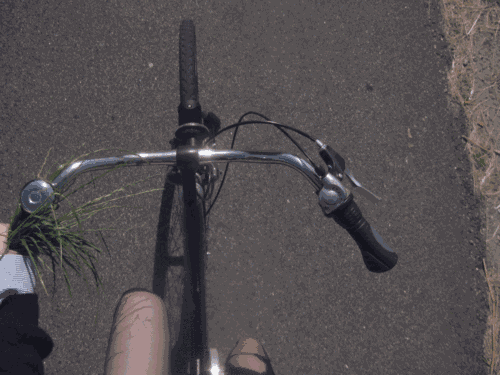 duathlon-cycling-running-5k