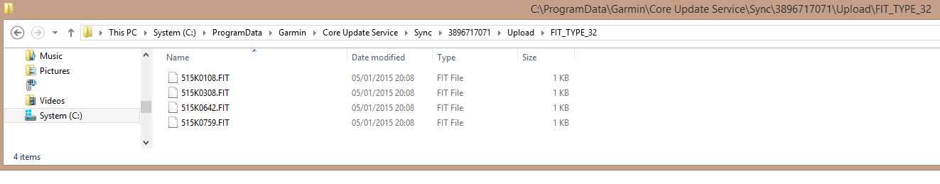 Garmin Express Cache Storage for 920XT