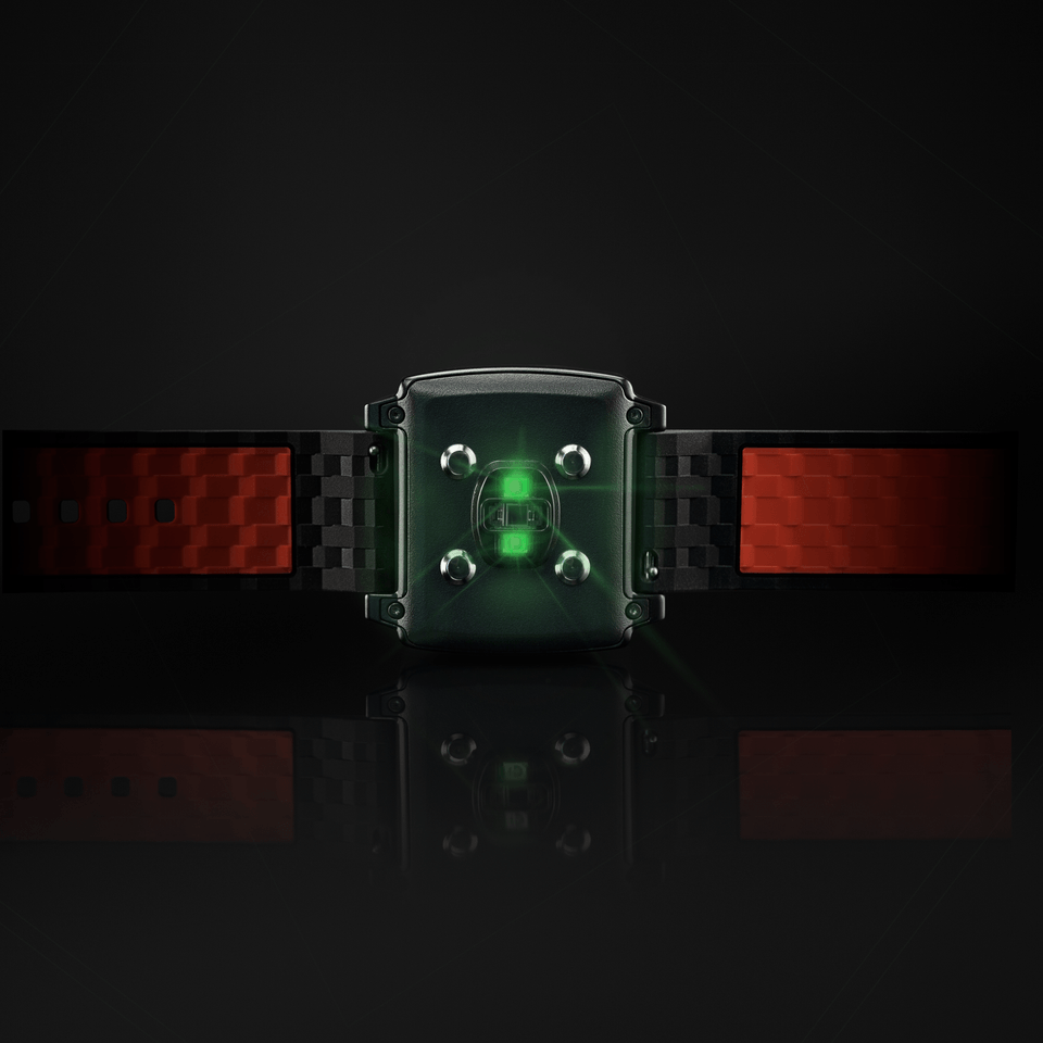 Matte Black - Back View