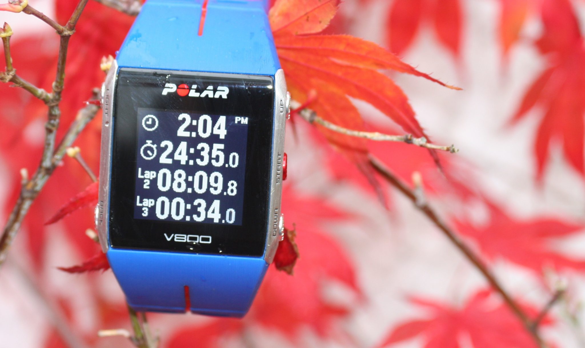 Polar V800 -