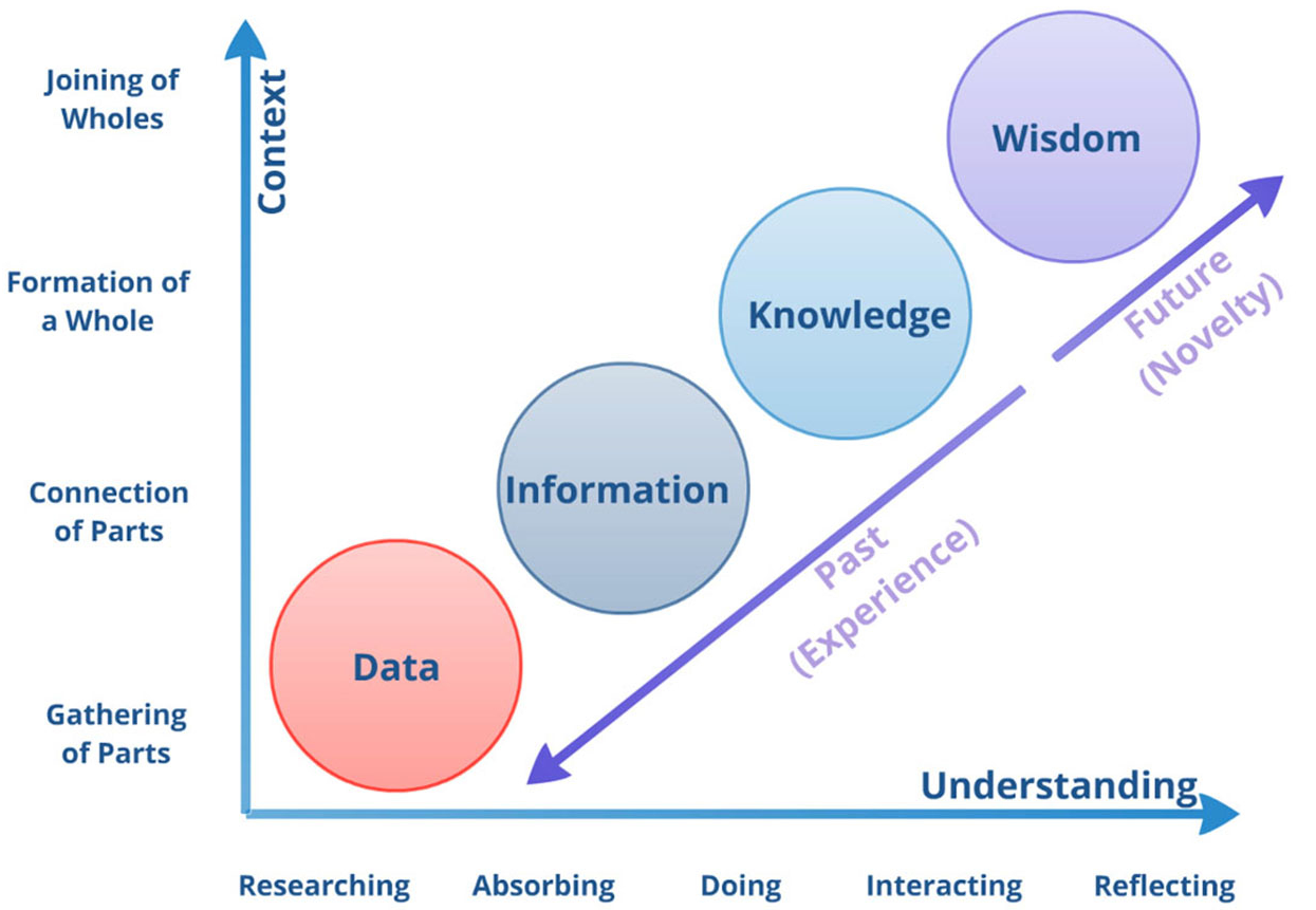 Data-into-Wisdom