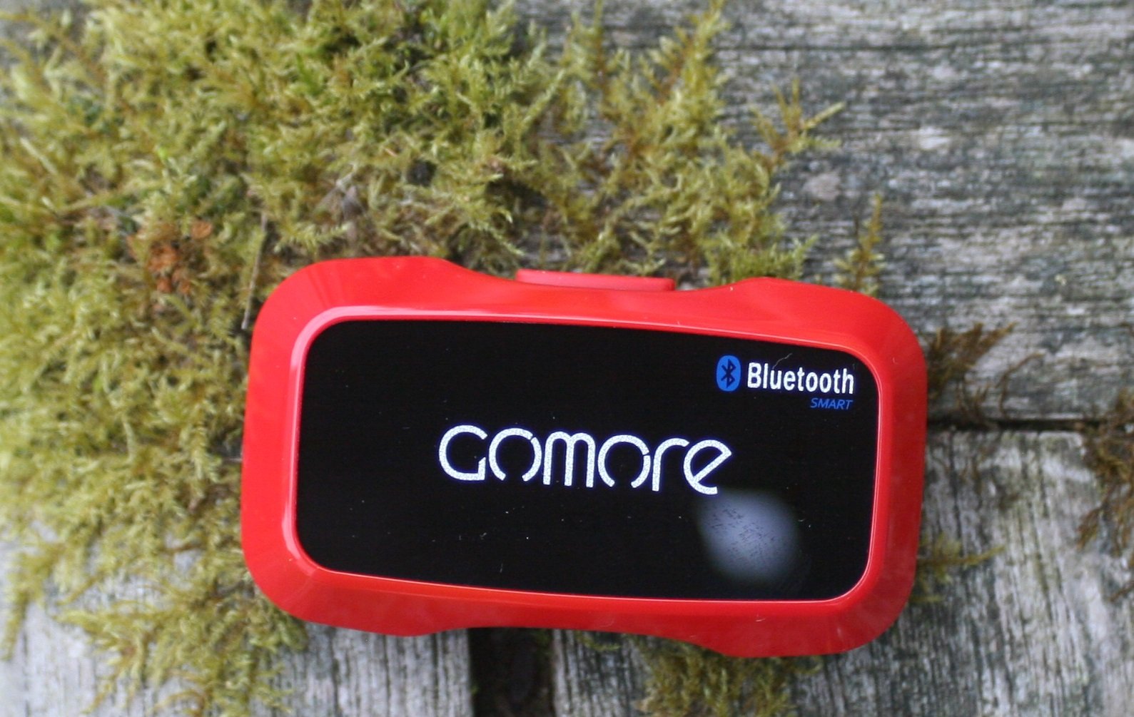 GoMore Stamina Sensor