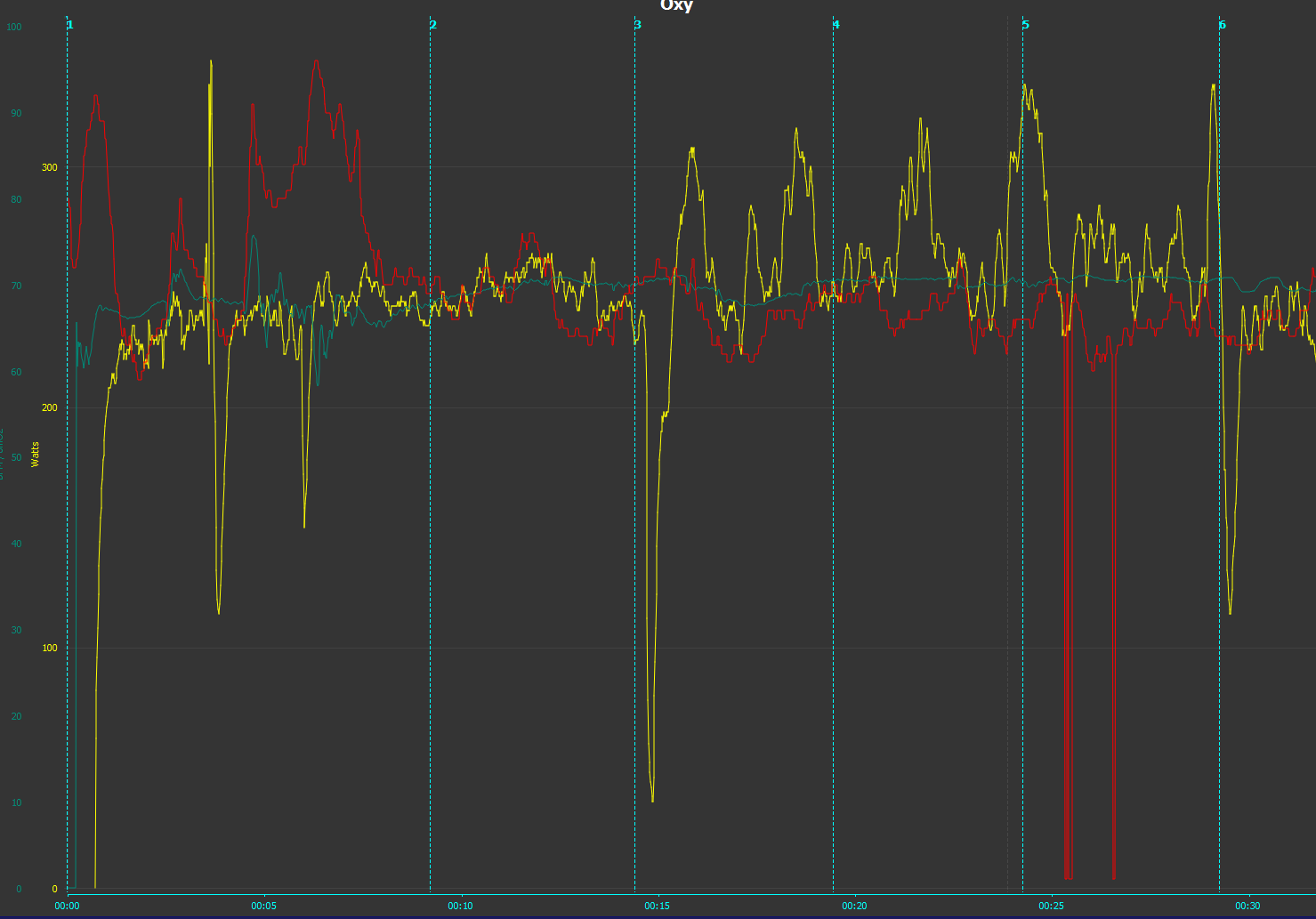 Power Run SmO2 HR BSX Insight STRYD 920XT V800