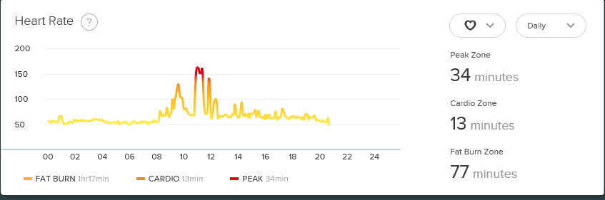 Fitbit Charge Resting HR