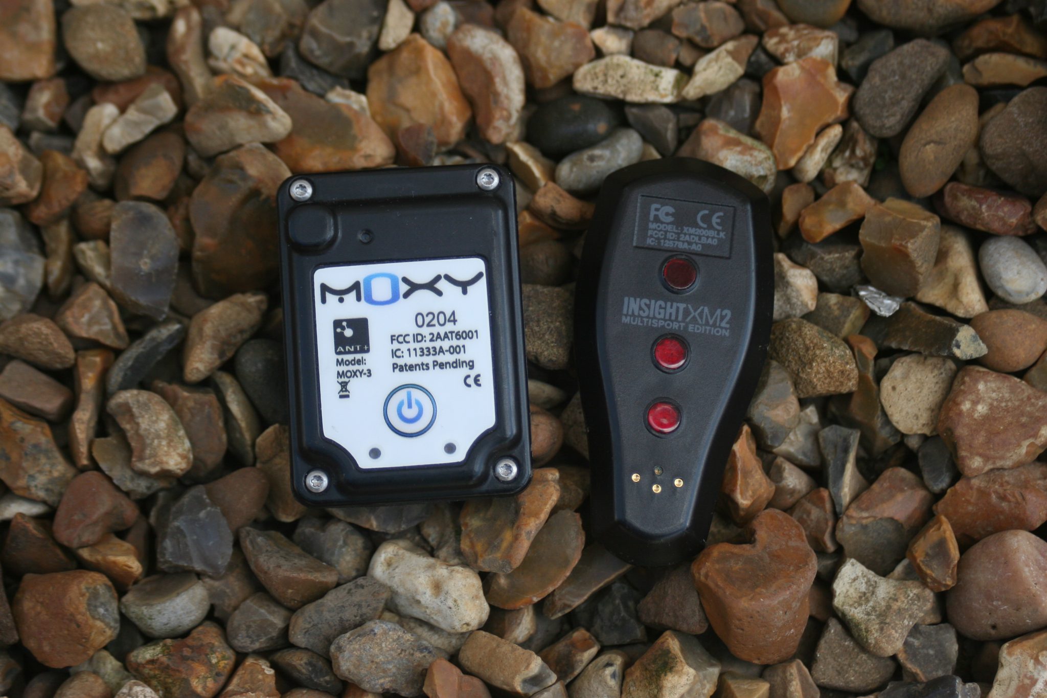 Moxy Monitor - BSX Insight