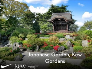 richmond running festival marathon 10k hm