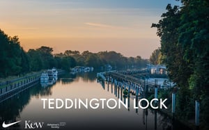 richmond running festival marathon 10k hm