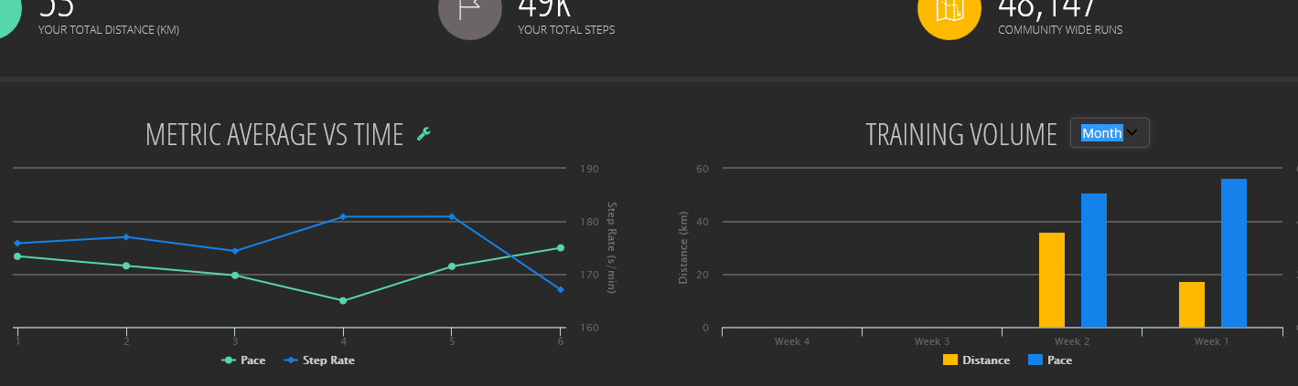 runscribe dashboard1