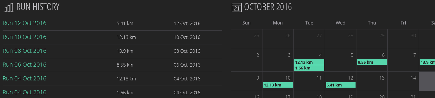 runscribe dashboard1