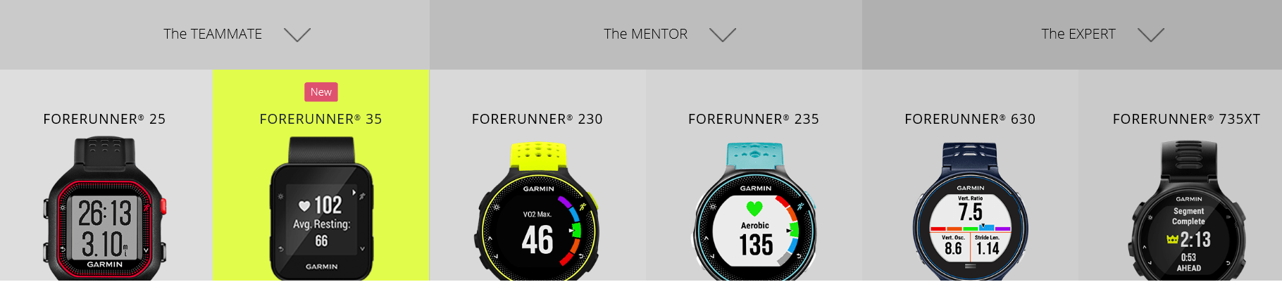 garmin-forerunner-range-2016-mentor-expert-teammate