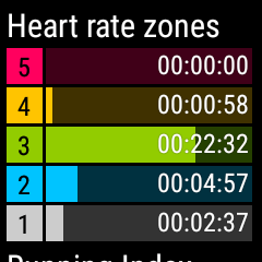 Polar M600 - Summary Screens (Nice) And Easy Run Vs Stryd Hr And Bsod